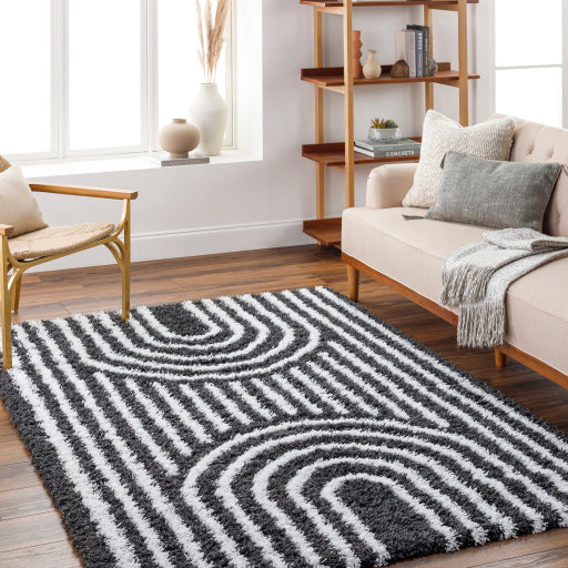 Surya Urban Shag USG-2318 Black Global  Rug