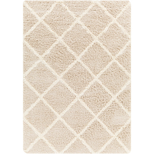 Surya Urban Shag USG-2319 Beige Cottage  Rug