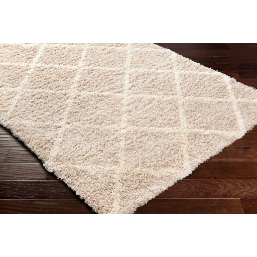 Surya Urban Shag USG-2319 Beige Cottage  Rug