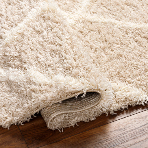 Surya Urban Shag USG-2319 Beige Cottage  Rug