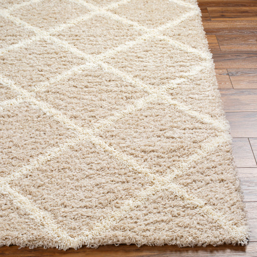 Surya Urban Shag USG-2319 Beige Cottage  Rug