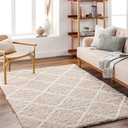 Surya Urban Shag USG-2319 Beige Cottage  Rug