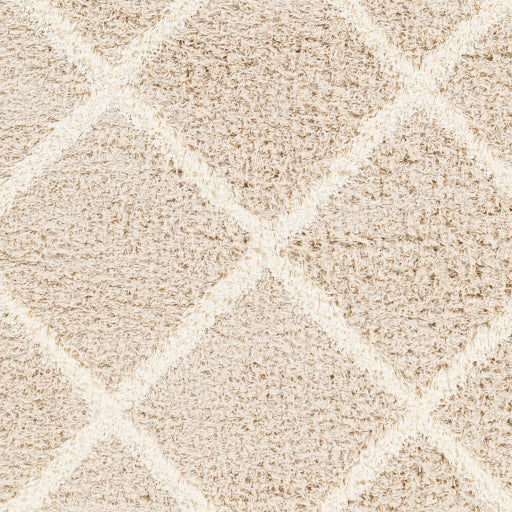 Surya Urban Shag USG-2319 Beige Cottage  Rug