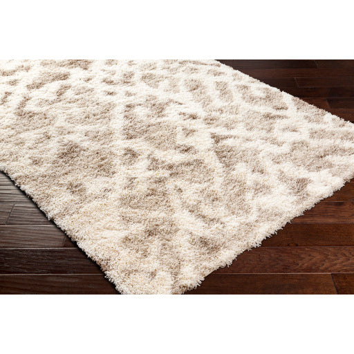 Surya Urban Shag USG-2323 Beige Global  Rug