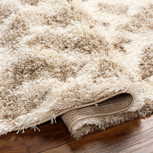 Surya Urban Shag USG-2323 Beige Global  Rug