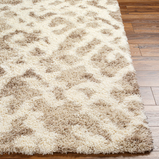 Surya Urban Shag USG-2323 Beige Global  Rug