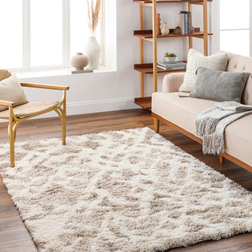 Surya Urban Shag USG-2323 Beige Global  Rug