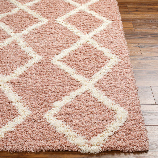 Surya Urban Shag USG-2324 Dusty Pink Global  Rug