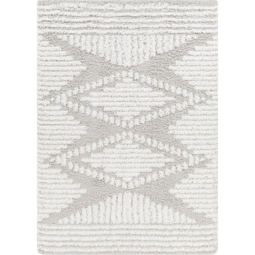 Surya Urban Shag USG-2325 Light Gray Global  Rug