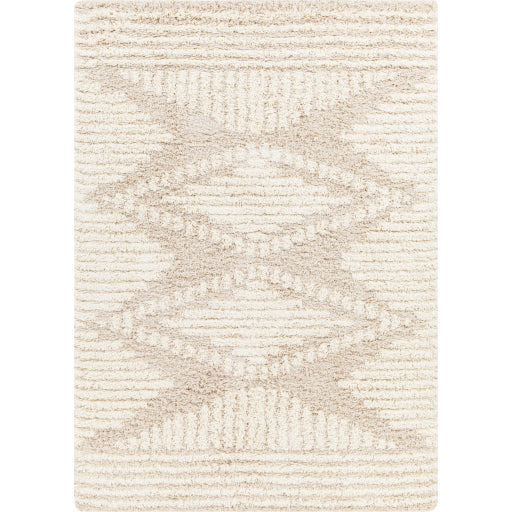 Surya Urban Shag USG-2326 Beige Global  Rug