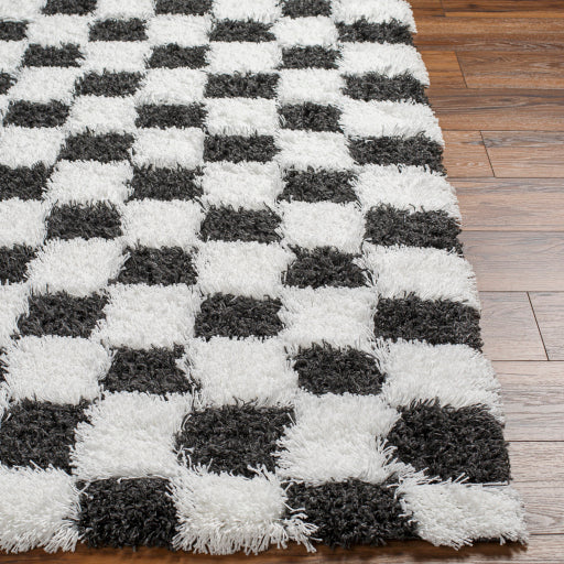 Surya Urban Shag USG-2330 White Modern  Rug