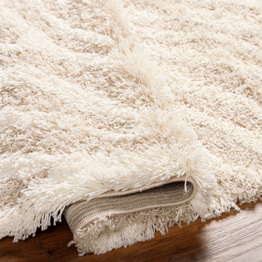 Surya Urban Shag USG-2332 Beige Modern  Rug