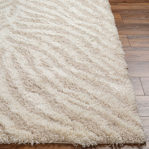 Surya Urban Shag USG-2332 Beige Modern  Rug