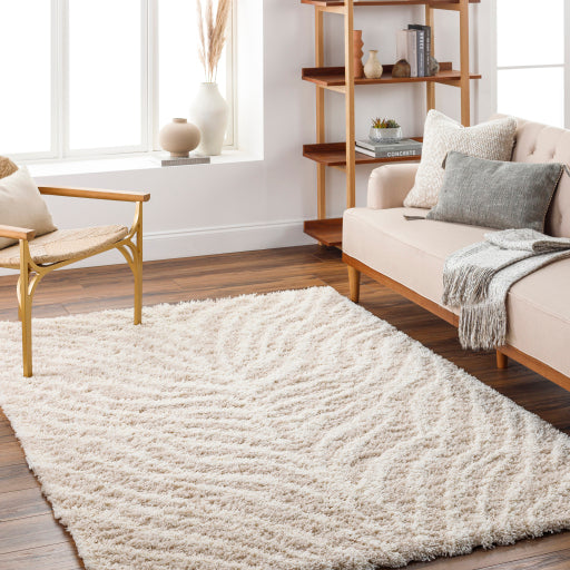 Surya Urban Shag USG-2332 Beige Modern  Rug