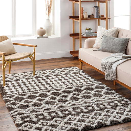 Surya Urban Shag USG-2342 Dark Brown Global  Rug