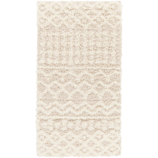 Surya Urban Shag USG-2345 Beige Modern  Rug