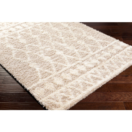 Surya Urban Shag USG-2345 Beige Modern  Rug