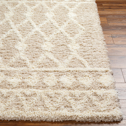 Surya Urban Shag USG-2345 Beige Modern  Rug