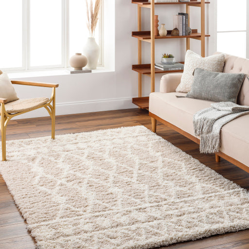 Surya Urban Shag USG-2345 Beige Modern  Rug