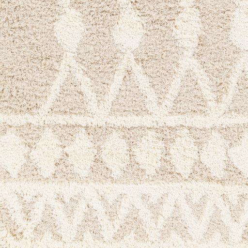 Surya Urban Shag USG-2345 Beige Modern  Rug