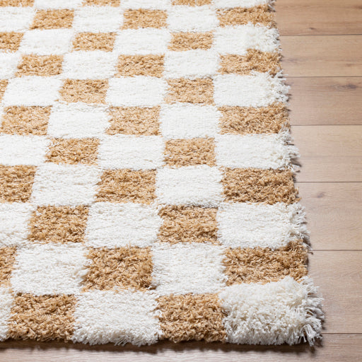 Surya Urban Shag USG-2346 Cream Modern  Rug