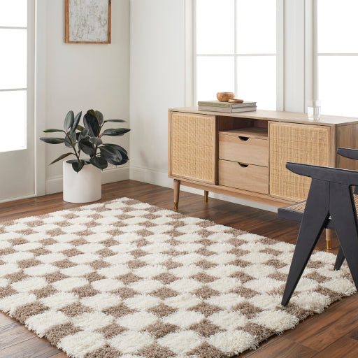 Surya Urban Shag USG-2348 Cream Modern  Rug