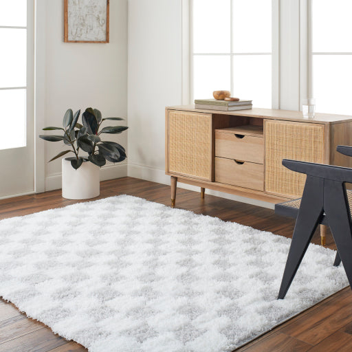 Surya Urban Shag USG-2349 Cream Modern  Rug