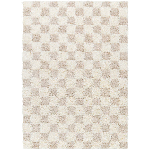 Surya Urban Shag USG-2350 Cream Modern  Rug