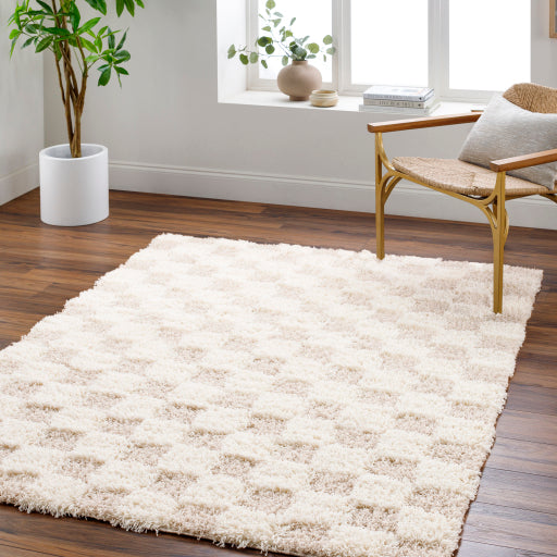 Surya Urban Shag USG-2350 Cream Modern  Rug