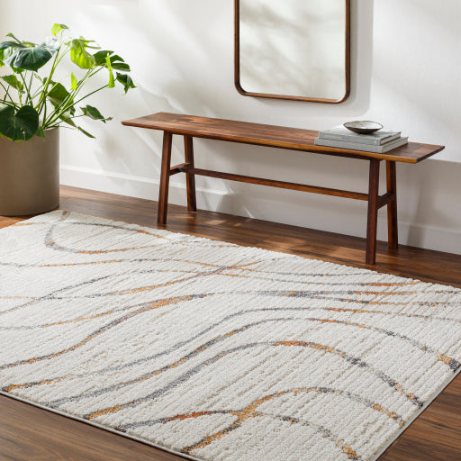 Surya Valet VAT-2302 Cream Modern  Rug