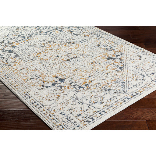 Surya Valet VAT-2306 Cream Modern  Rug