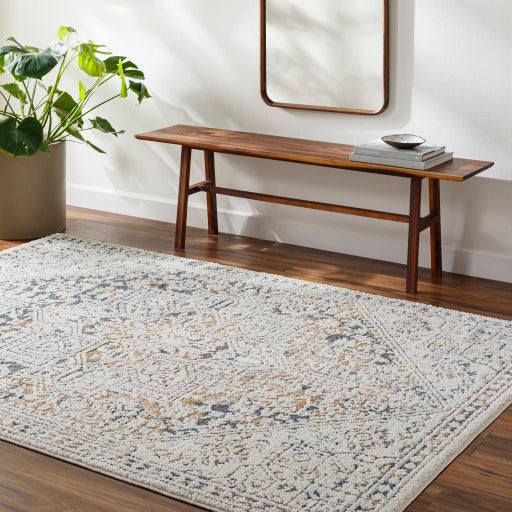 Surya Valet VAT-2306 Cream Modern  Rug