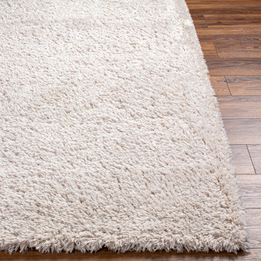 Surya Verde VDE-2300 Cream Modern  Rug