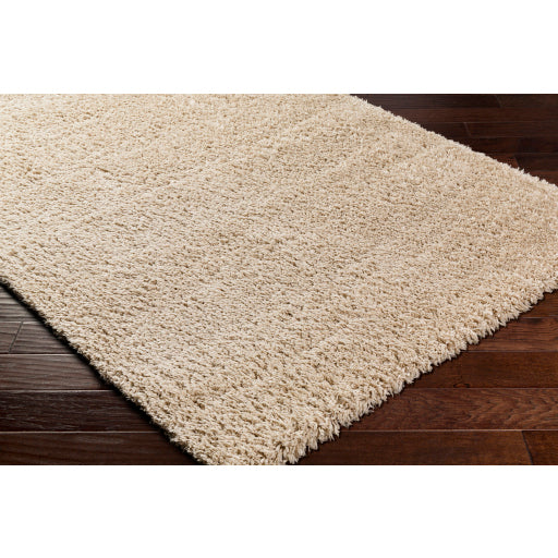 Surya Verde VDE-2301 Light Beige Modern  Rug