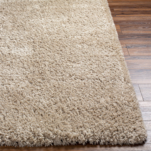 Surya Verde VDE-2301 Light Beige Modern  Rug