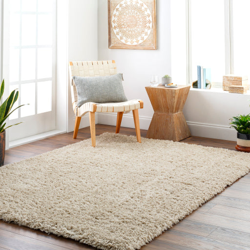 Surya Verde VDE-2301 Light Beige Modern  Rug