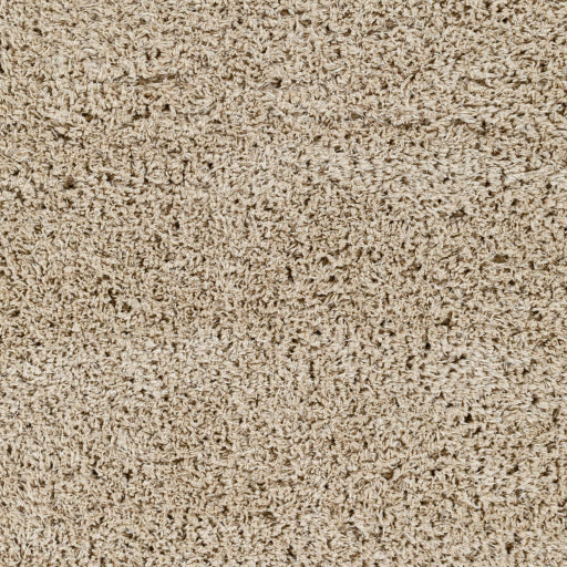 Surya Verde VDE-2301 Light Beige Modern  Rug