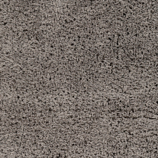 Surya Verde VDE-2304 Gray Modern  Rug