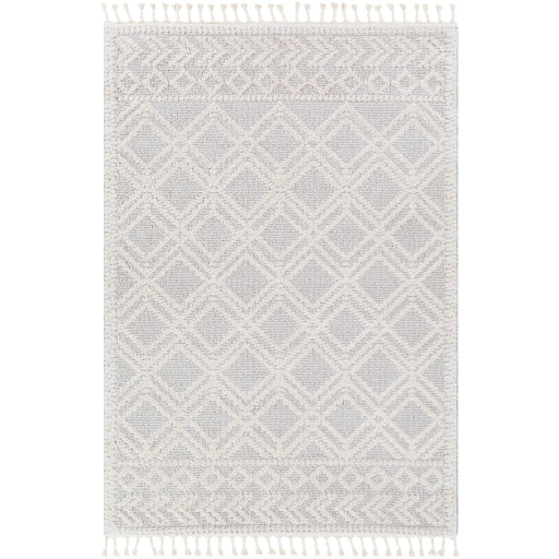 Surya Valencia VLC-2315 Medium Gray Global  Rug