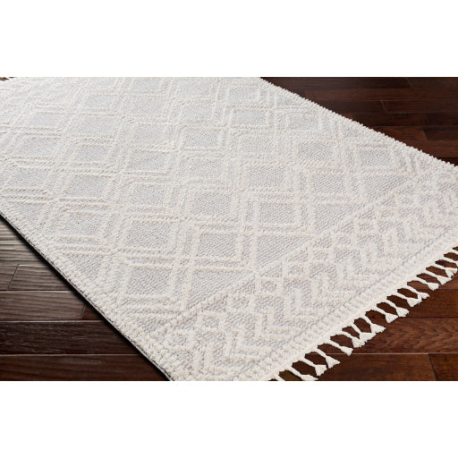 Surya Valencia VLC-2315 Medium Gray Global  Rug