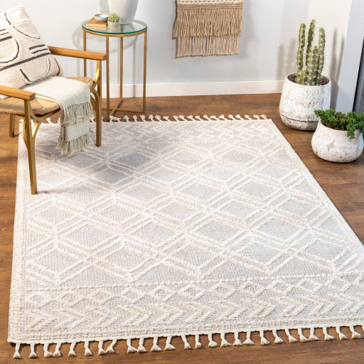 Surya Valencia VLC-2315 Medium Gray Global  Rug