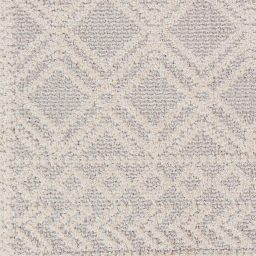 Surya Valencia VLC-2315 Medium Gray Global  Rug