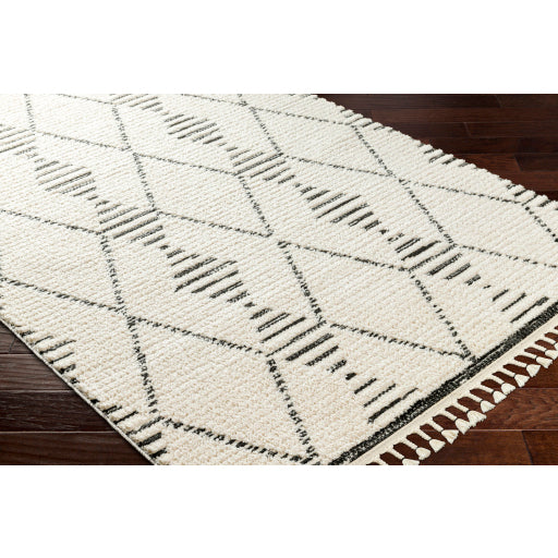 Surya Valencia VLC-2316 Cream Global  Rug