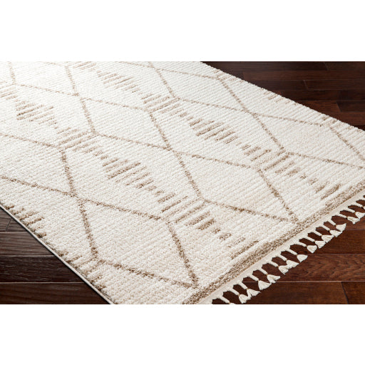 Surya Valencia VLC-2319 Cream Global  Rug