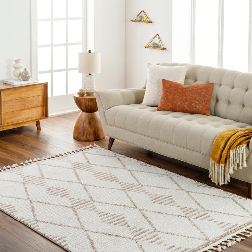 Surya Valencia VLC-2319 Cream Global  Rug