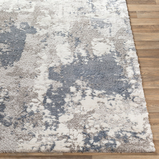 Surya Venice VNE-2306 Denim Modern  Rug