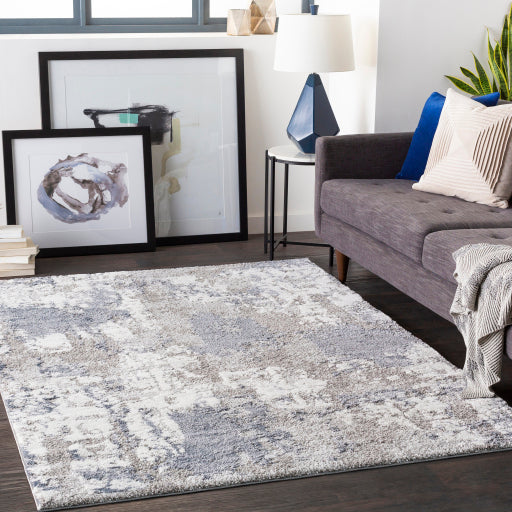 Surya Venice VNE-2306 Denim Modern  Rug