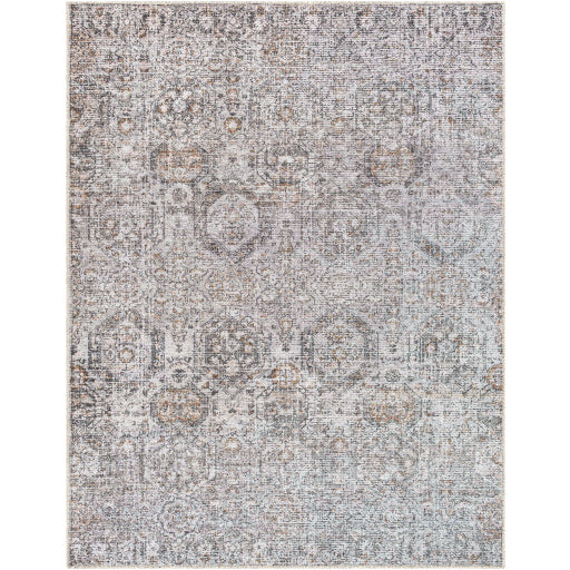 Surya Vinny VNY-2309 Light Gray Traditional  Rug