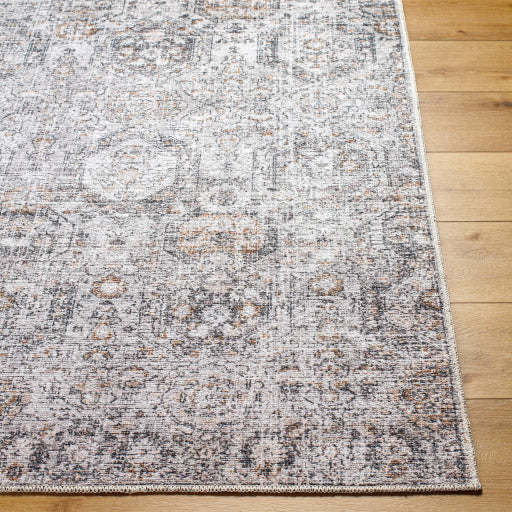 Surya Vinny VNY-2309 Light Gray Traditional  Rug