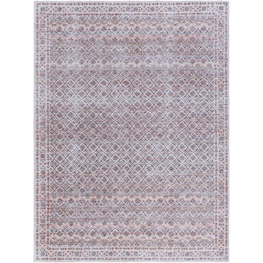 Surya Vinny VNY-2321 Beige Traditional  Rug